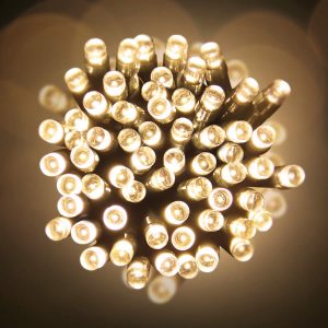 Led 10M Lights Warm White green Wire