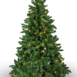 #268 Imperial Pine 100 WW LED 150cm